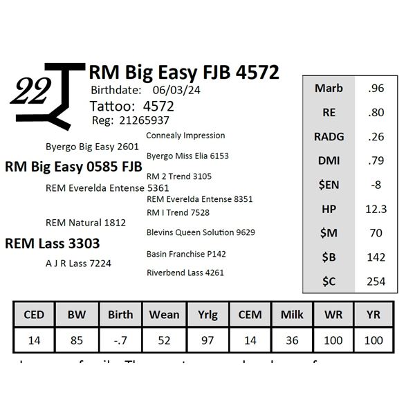 RM Big Easy FJB 4572