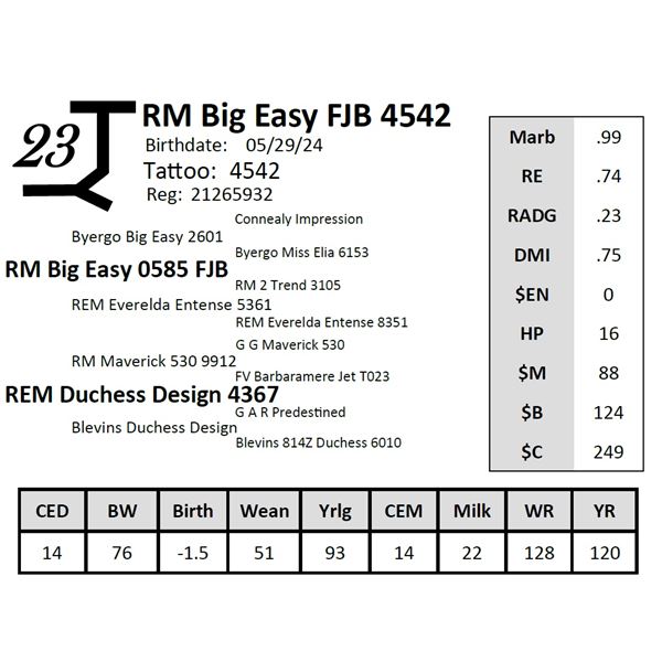 RM Big Easy FJB 4542