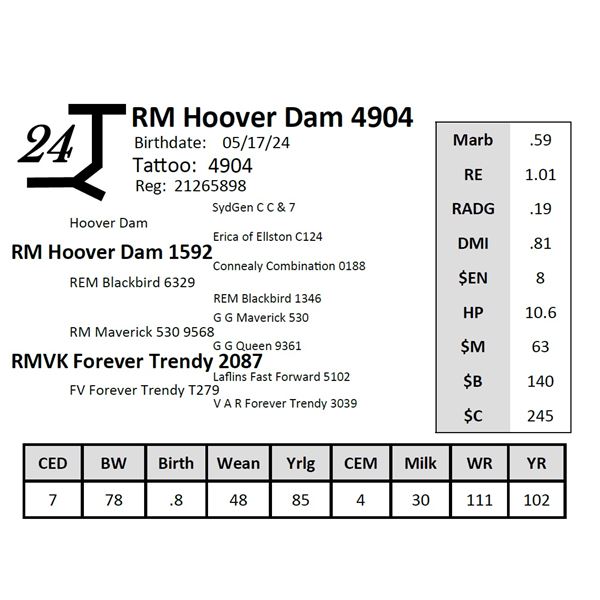 RM Hoover Dam 4904