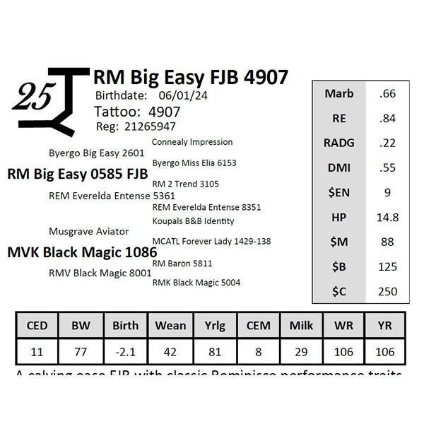 RM Big Easy FJB 4907
