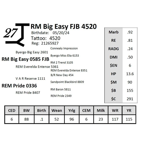 RM Big Easy FJB 4520