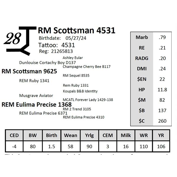 RM Scottsman 4531