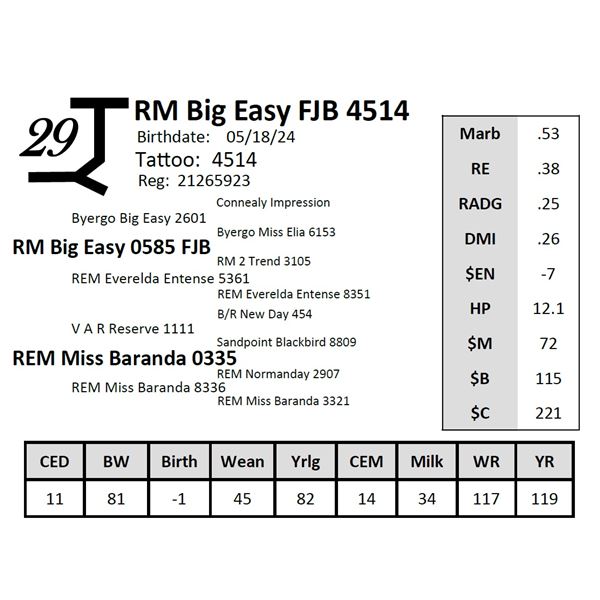 RM Big Easy FJB 4514