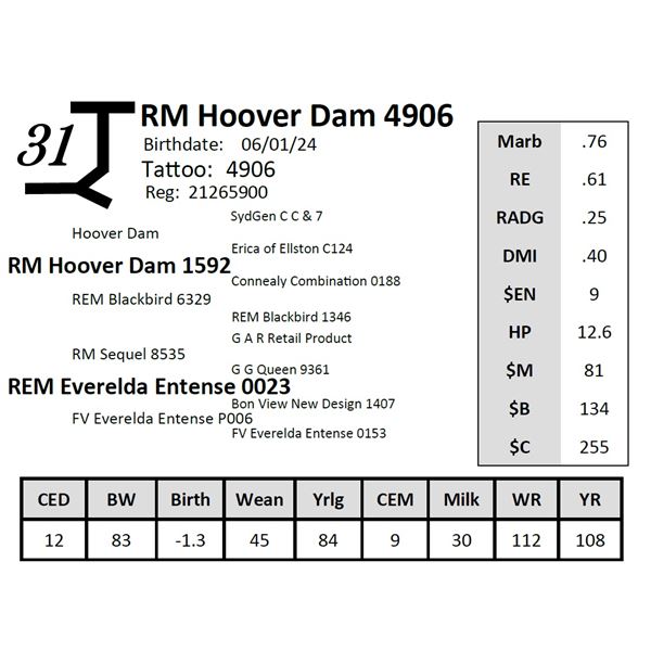 RM Hoover Dam 4906