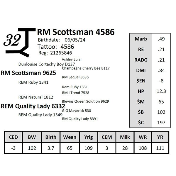 RM Scottsman 4586