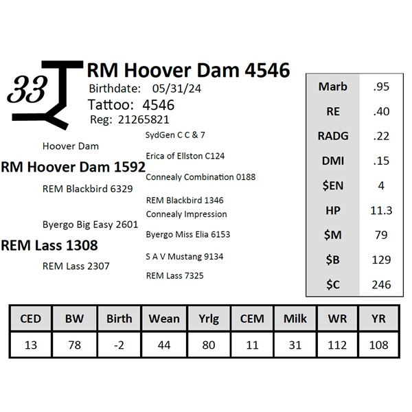 RM Hoover Dam 4546