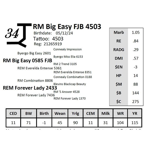 RM Big Easy FJB 4503