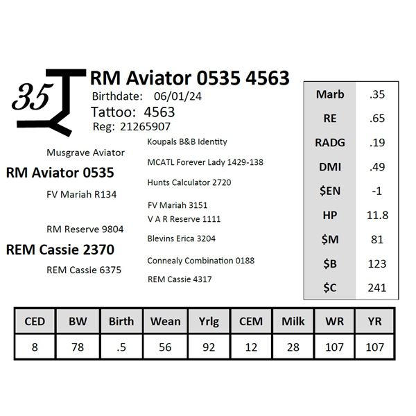 RM Aviator 0535 4563