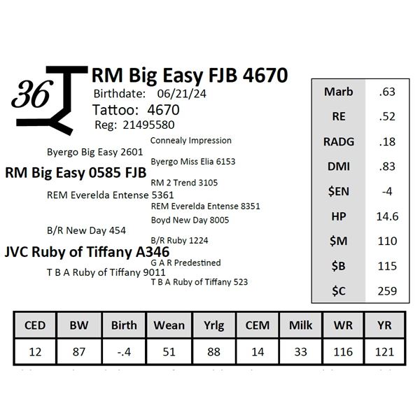 RM Big Easy FJB 4670