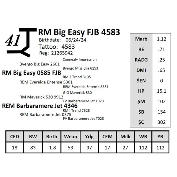 RM Big Easy FJB 4583