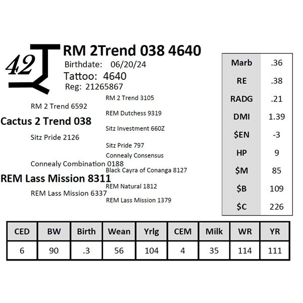 RM 2Trend 038 4640