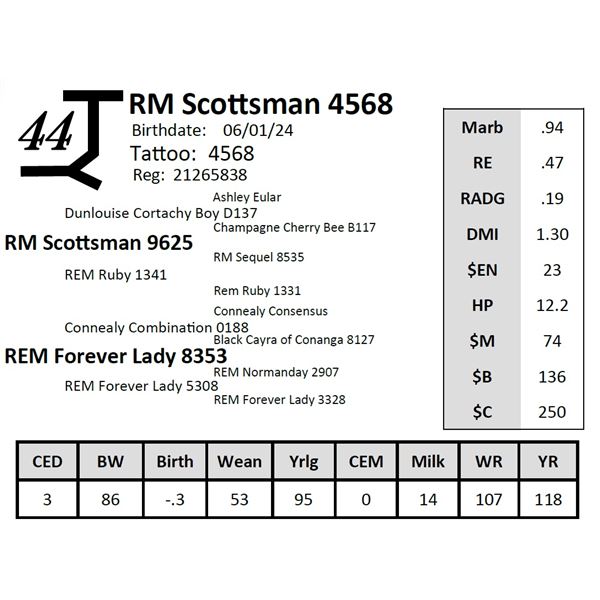 RM Scottsman 4568