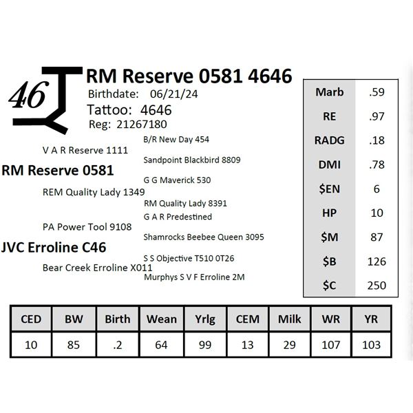 RM Reserve 0581 4646
