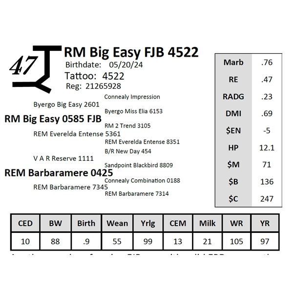 RM Big Easy FJB 4522