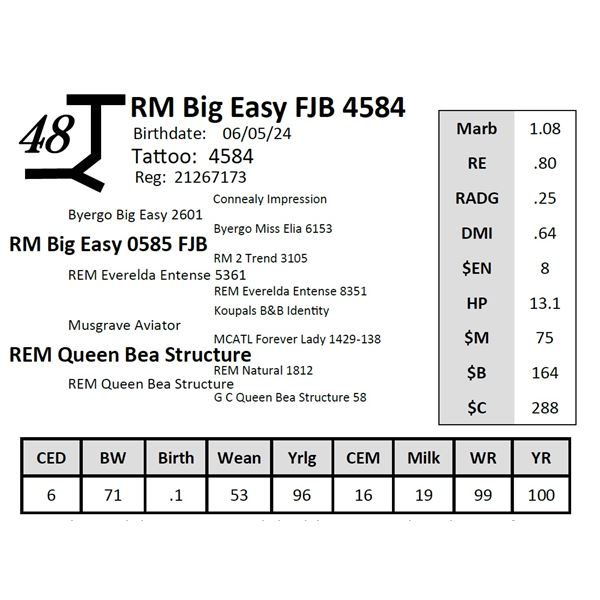 RM Big Easy FJB 4584