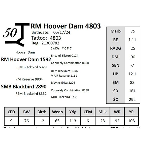 RM Hoover Dam 4803