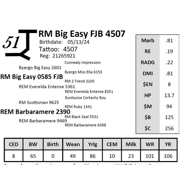 RM Big Easy FJB 4507