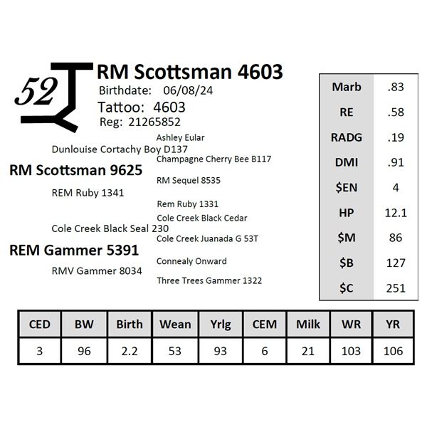 RM Scottsman 4603