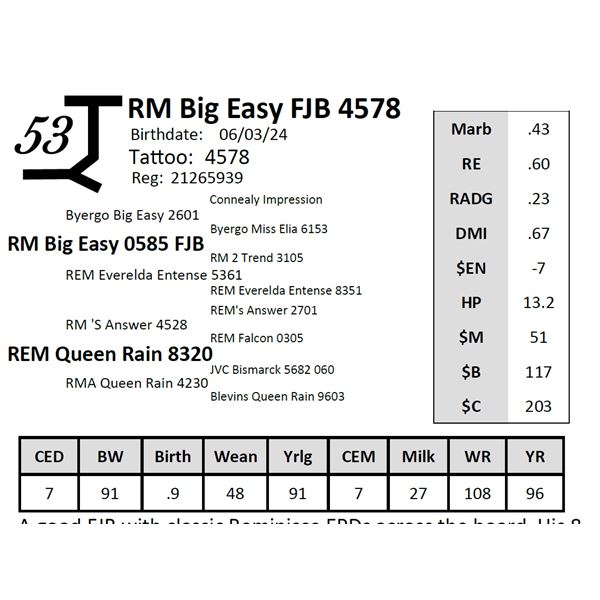 RM Big Easy FJB 4578