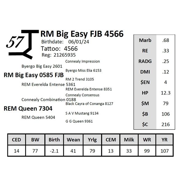 RM Big Easy FJB 4566