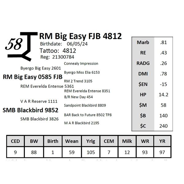 RM Big Easy FJB 4812