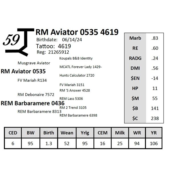 RM Aviator 0535 4619