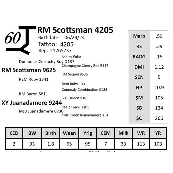 RM Scottsman 4205