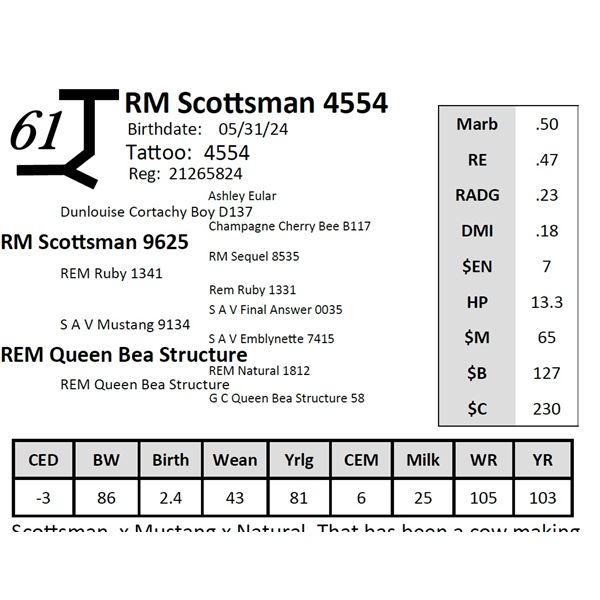 RM Scottsman 4554