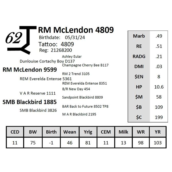 RM McLendon 4850