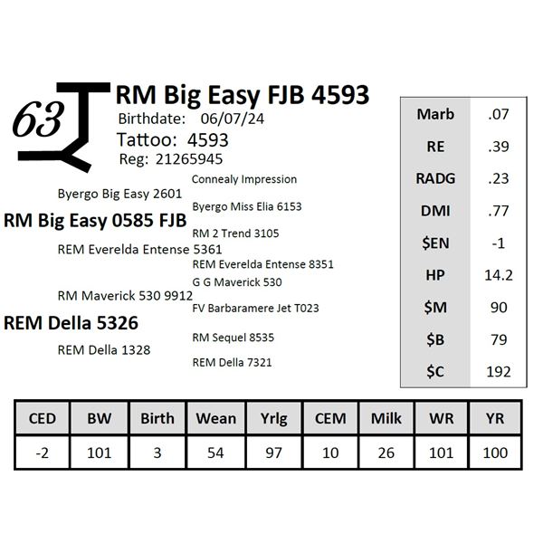 RM Big Easy FJB 4593