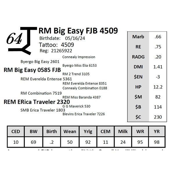 RM Big Easy FJB 4509