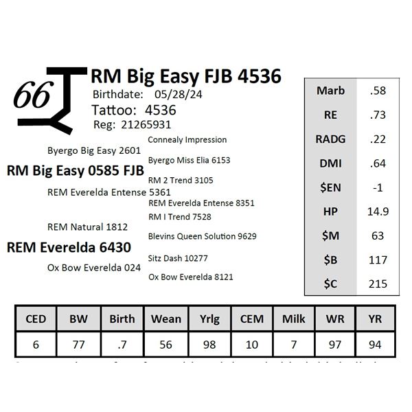 RM Big Easy FJB 4536