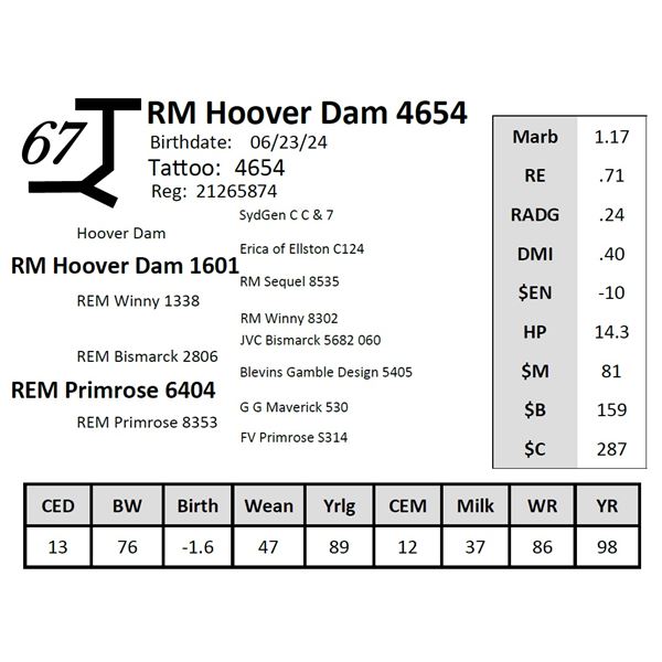 RM Hoover Dam 4654