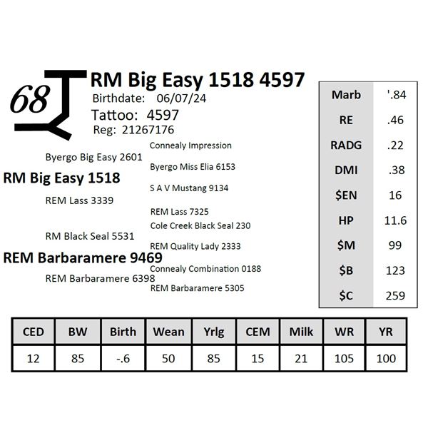 RM Big Easy 1518 4597