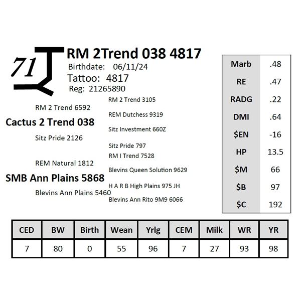 RM 2Trend 038 4817