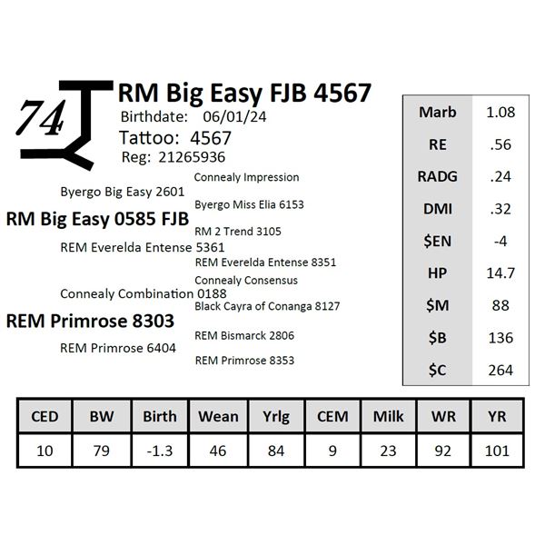 RM Big Easy FJB 4567