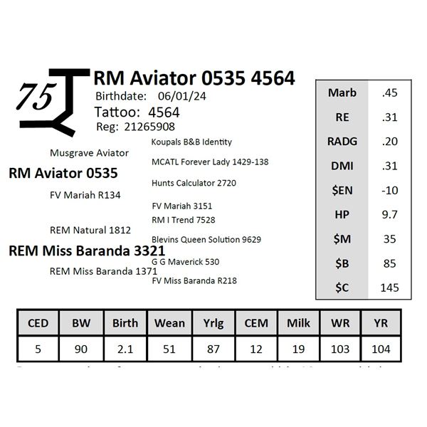 RM Aviator 0535 4564