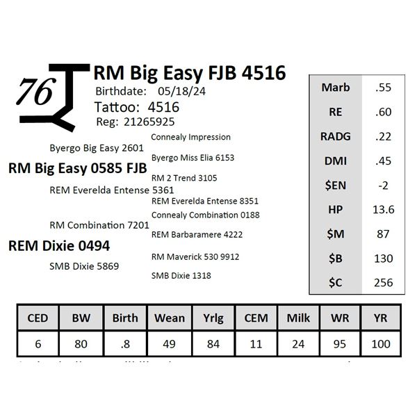 RM Big Easy FJB 4516