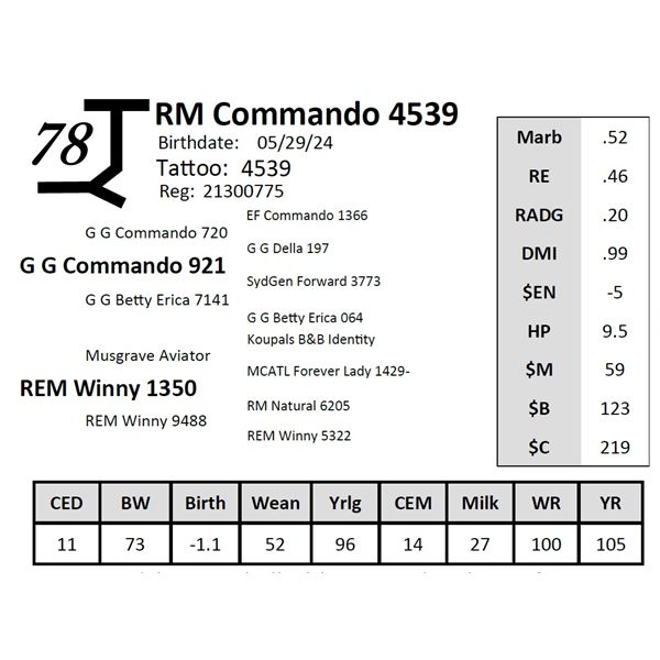 RM Commando 4539