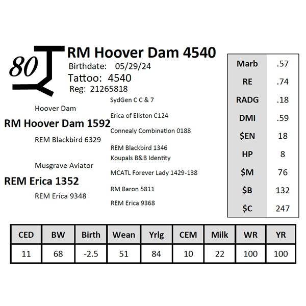 RM Hoover Dam 4540