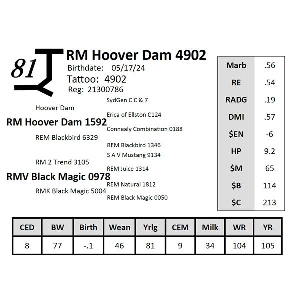 RM Hoover Dam 4902