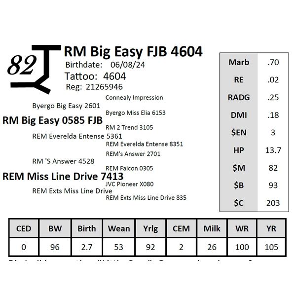 RM Big Easy FJB 4604