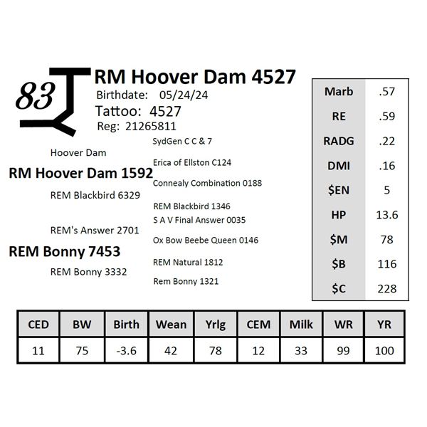RM Hoover Dam 4527