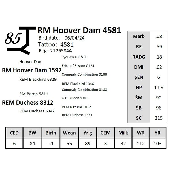 RM Hoover Dam 4581
