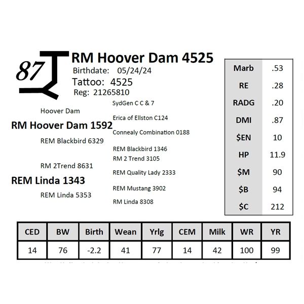 RM Hoover Dam 4525