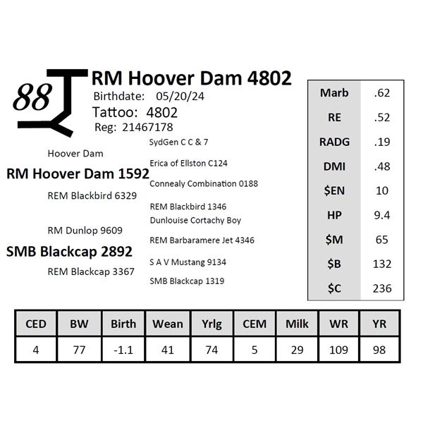 RM Hoover Dam 4802