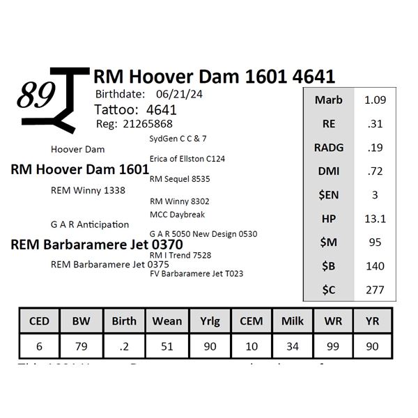 RM Hoover Dam 1601 4641