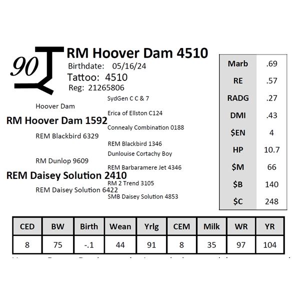 RM Hoover Dam 4510