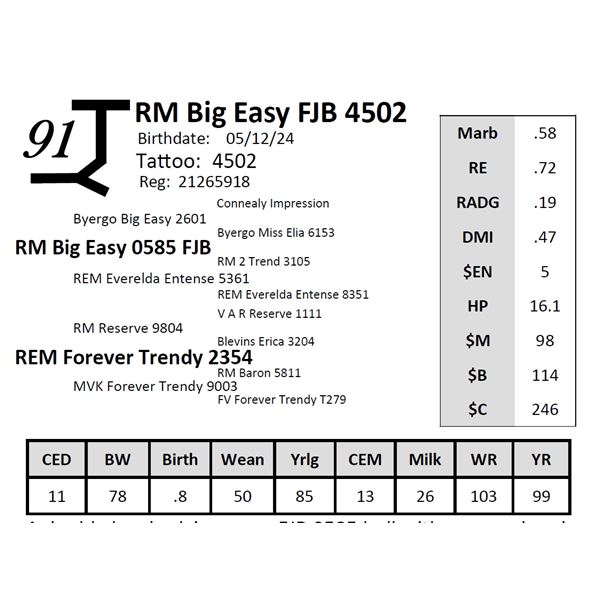RM Big Easy FJB 4502