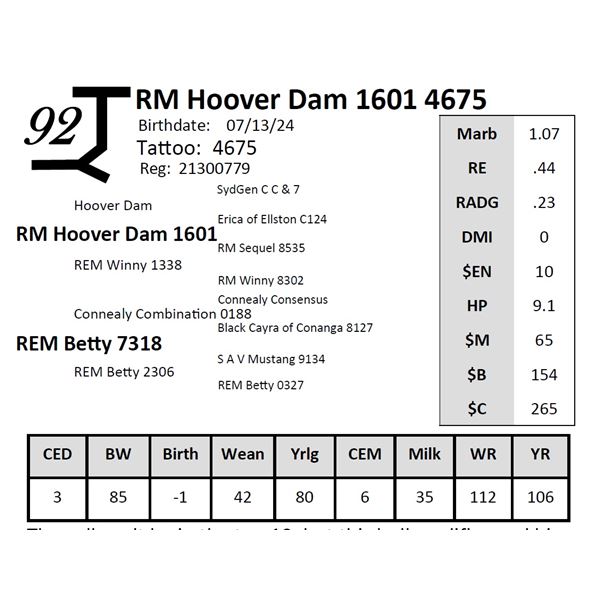 RM Hoover Dam 1601 4675